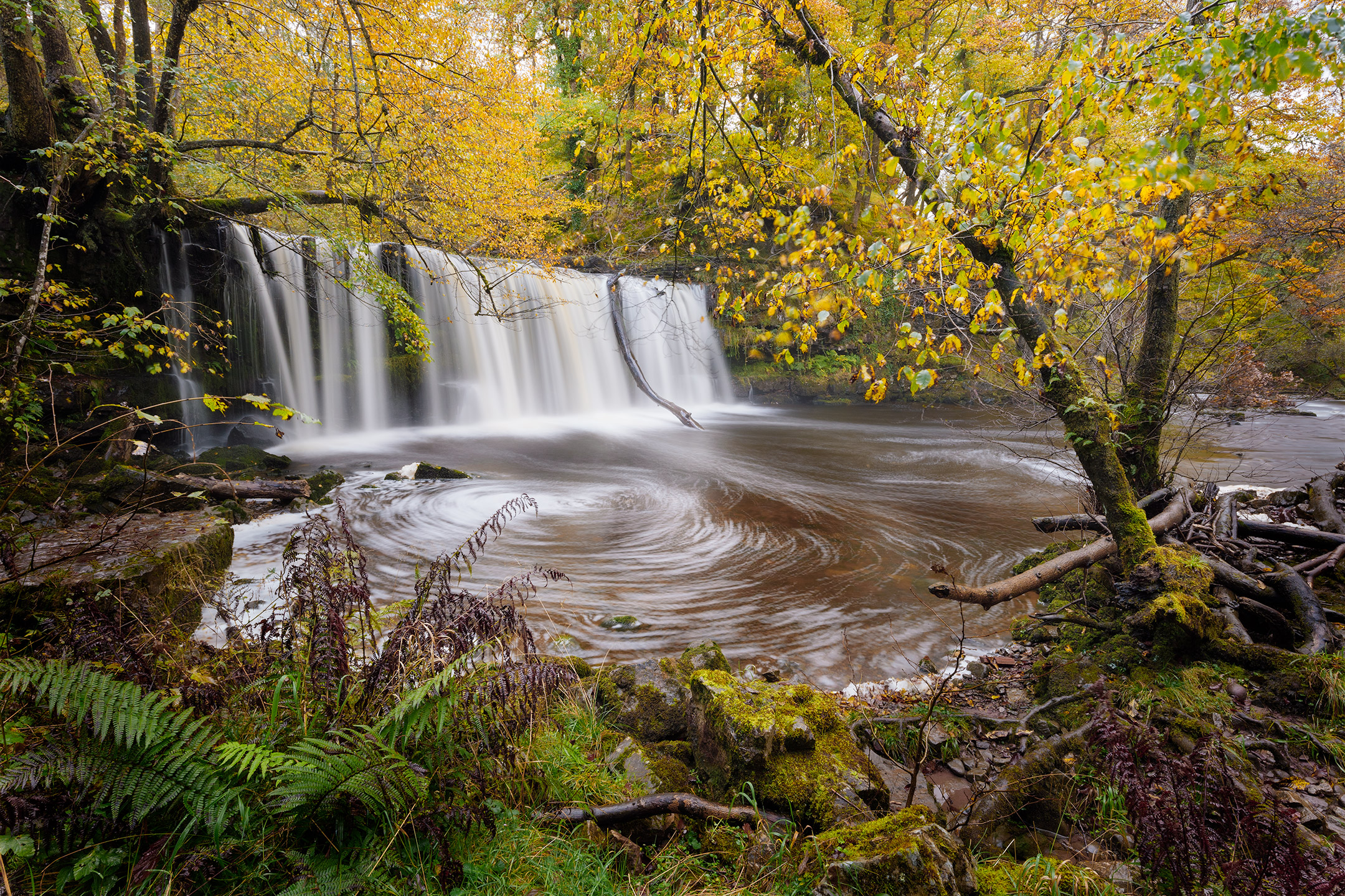 Autumn trees surround Sgwd Ddwli Uchaf on the Elidir Trail in the Brecon Beacons, Wales