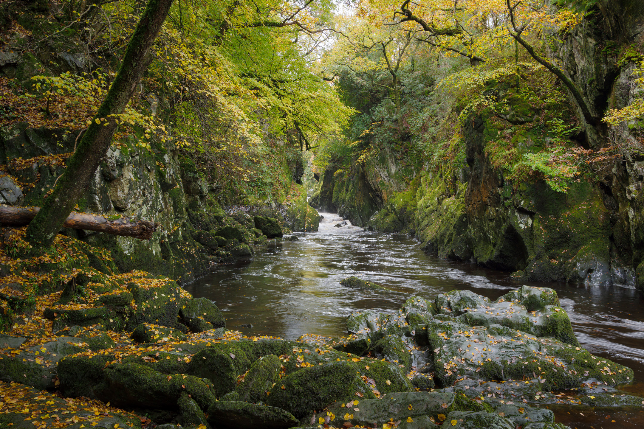 Autumn in the aptly named Fairy Glen near Betws-y-Coed in Snowdonia, Wales