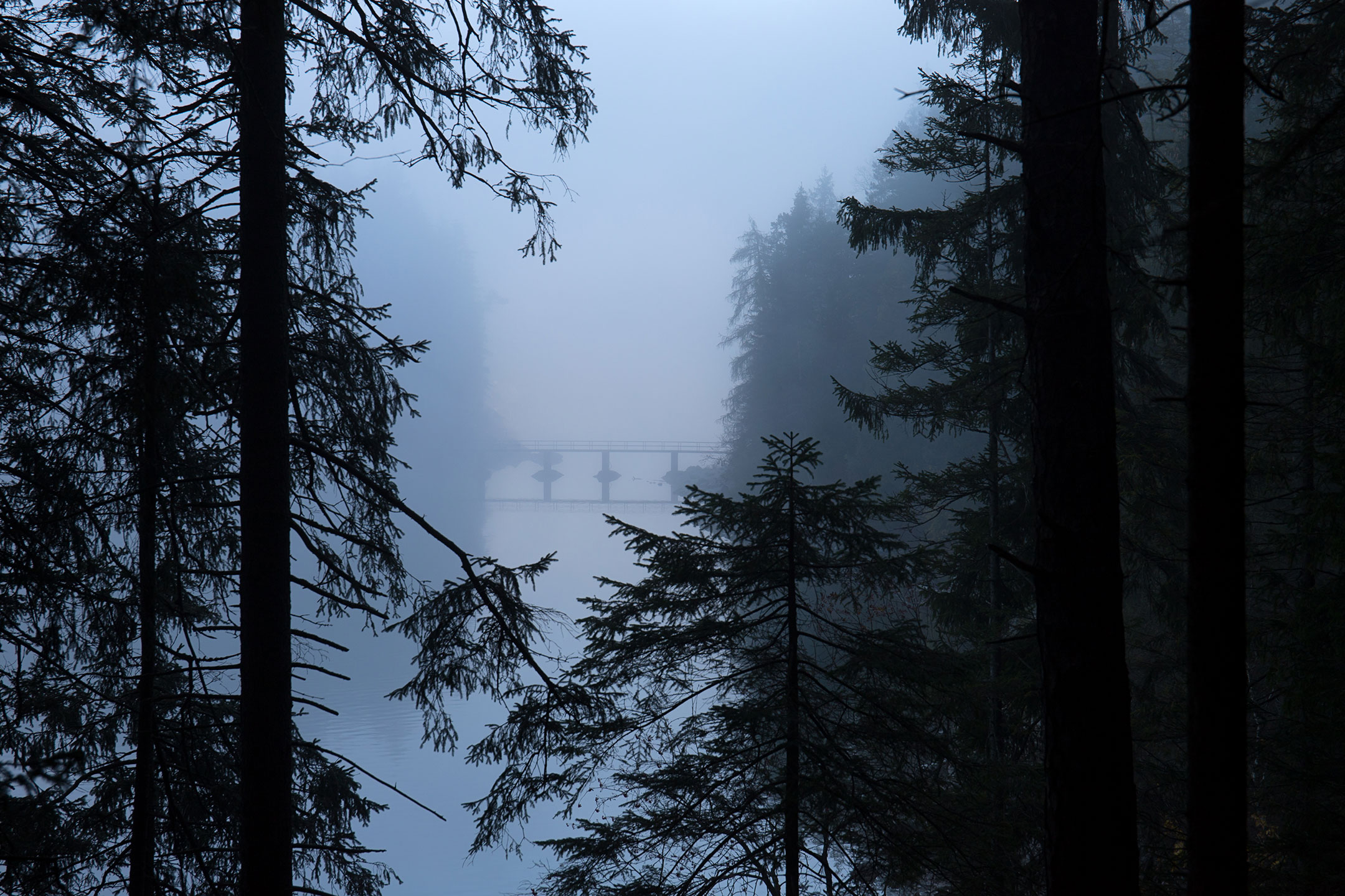 Fog shrouding a small bridge at Eibsee in the Bavarian Alps, Garmisch-Partenkirchen, Germany