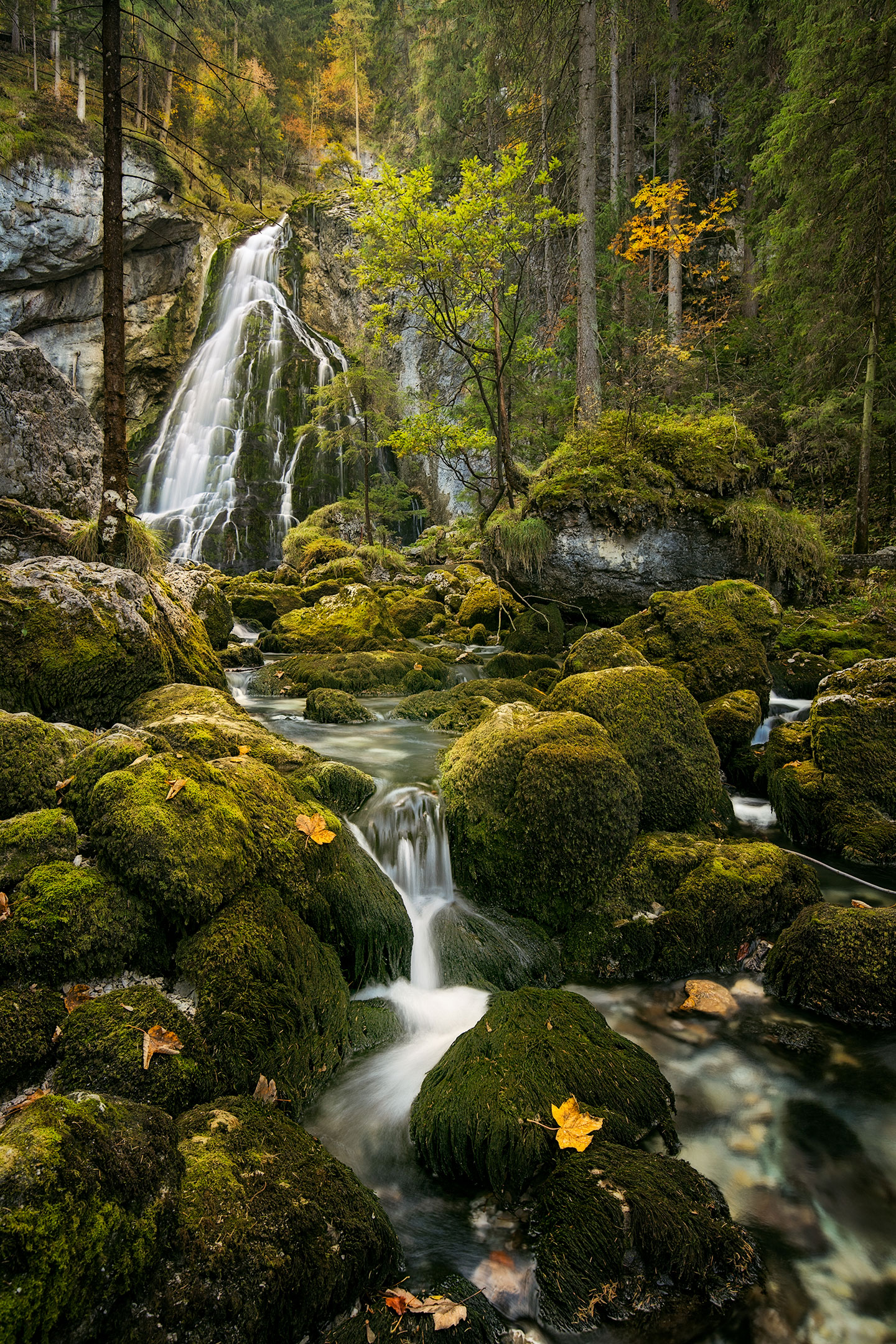 The beautiful Gollinger Waterfall tumbles into the Schwarzbach during autumn in Austria