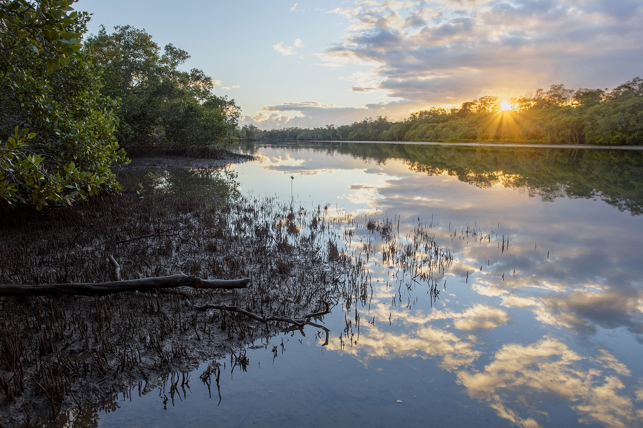 Reflections of Sunrise at Tallebudgera Creek, Gold Coast, Australia