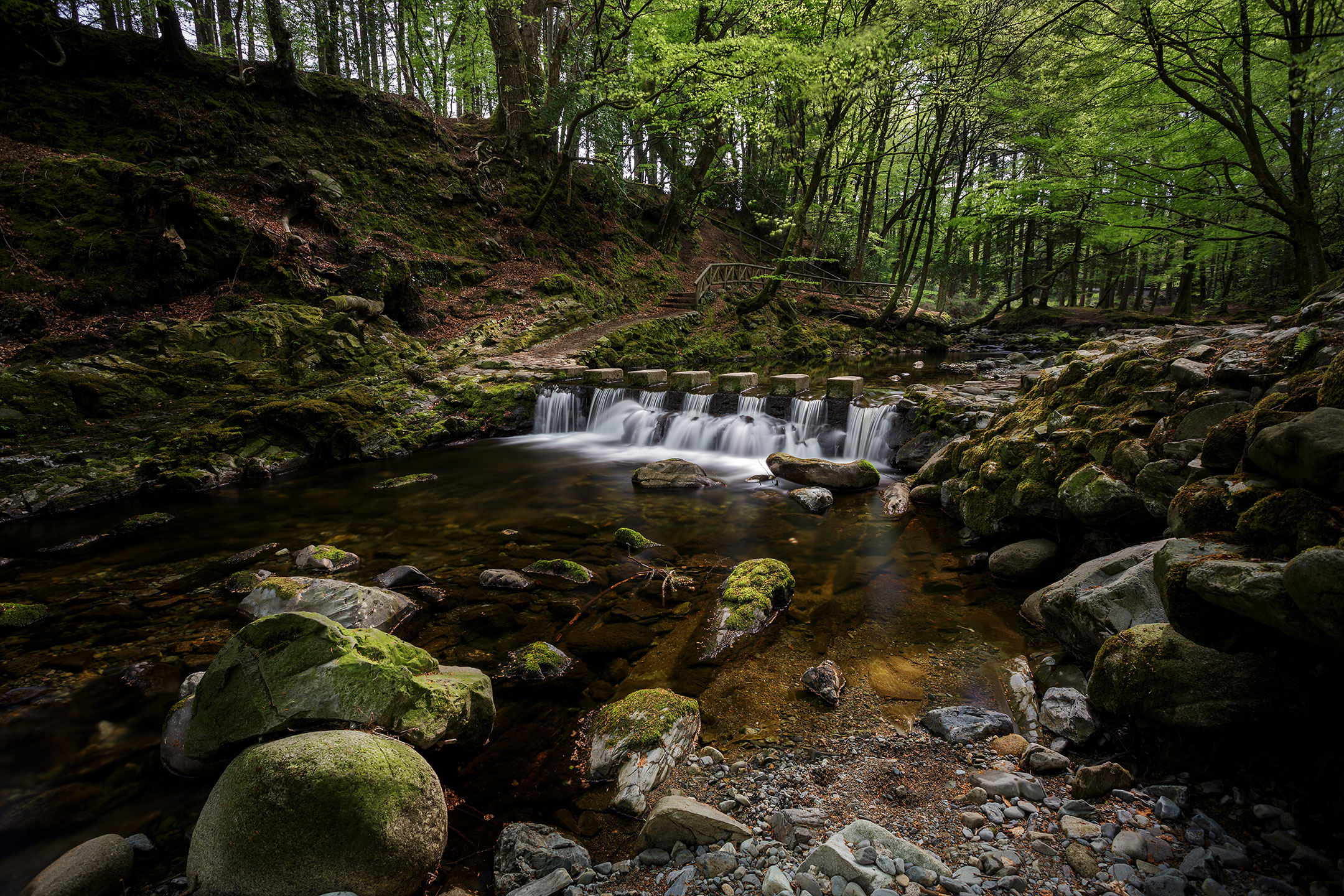 Shimna River waterfall and stepping stones, Tollymore Forest, County Down, Northern Ireland