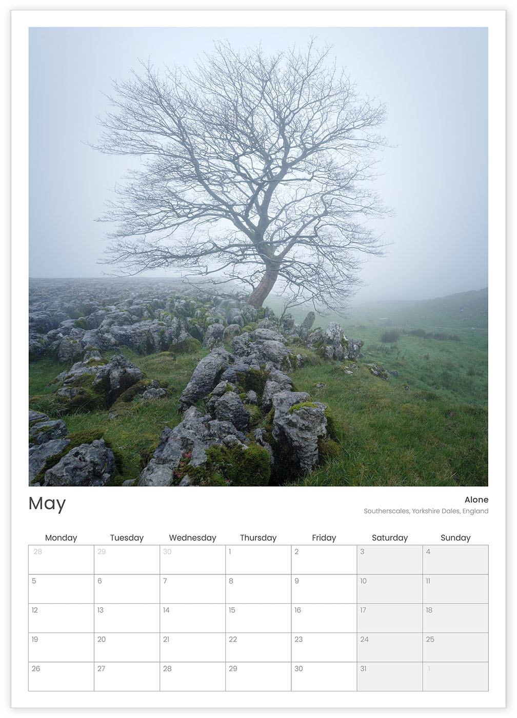 2025 Calendar May: tree in fog, Southerscales, Yorkshire Dales, England