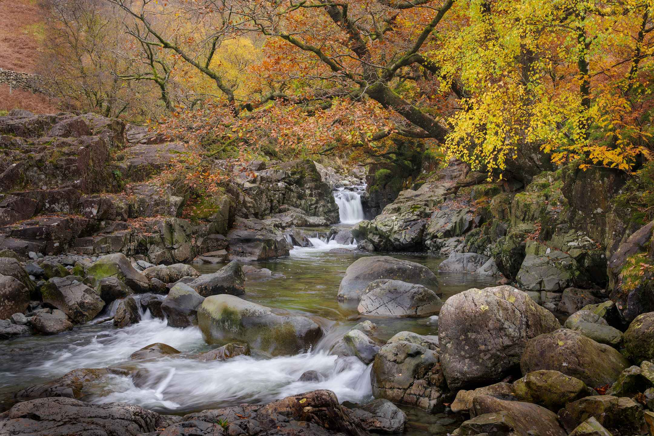 Galleny Force peeks through autumn trees in the Lake District, England