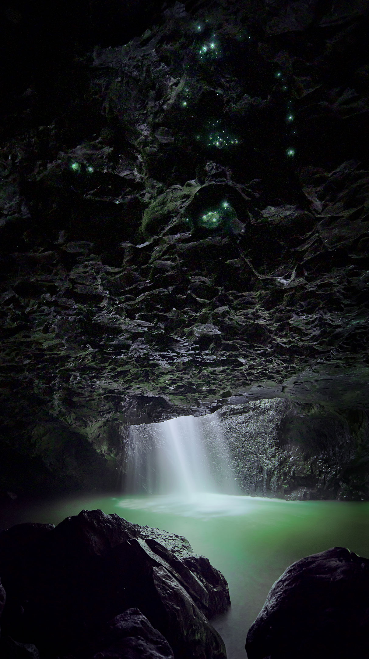 Glow worms light up the cave at Natural Bridge, Springbrook, Australia