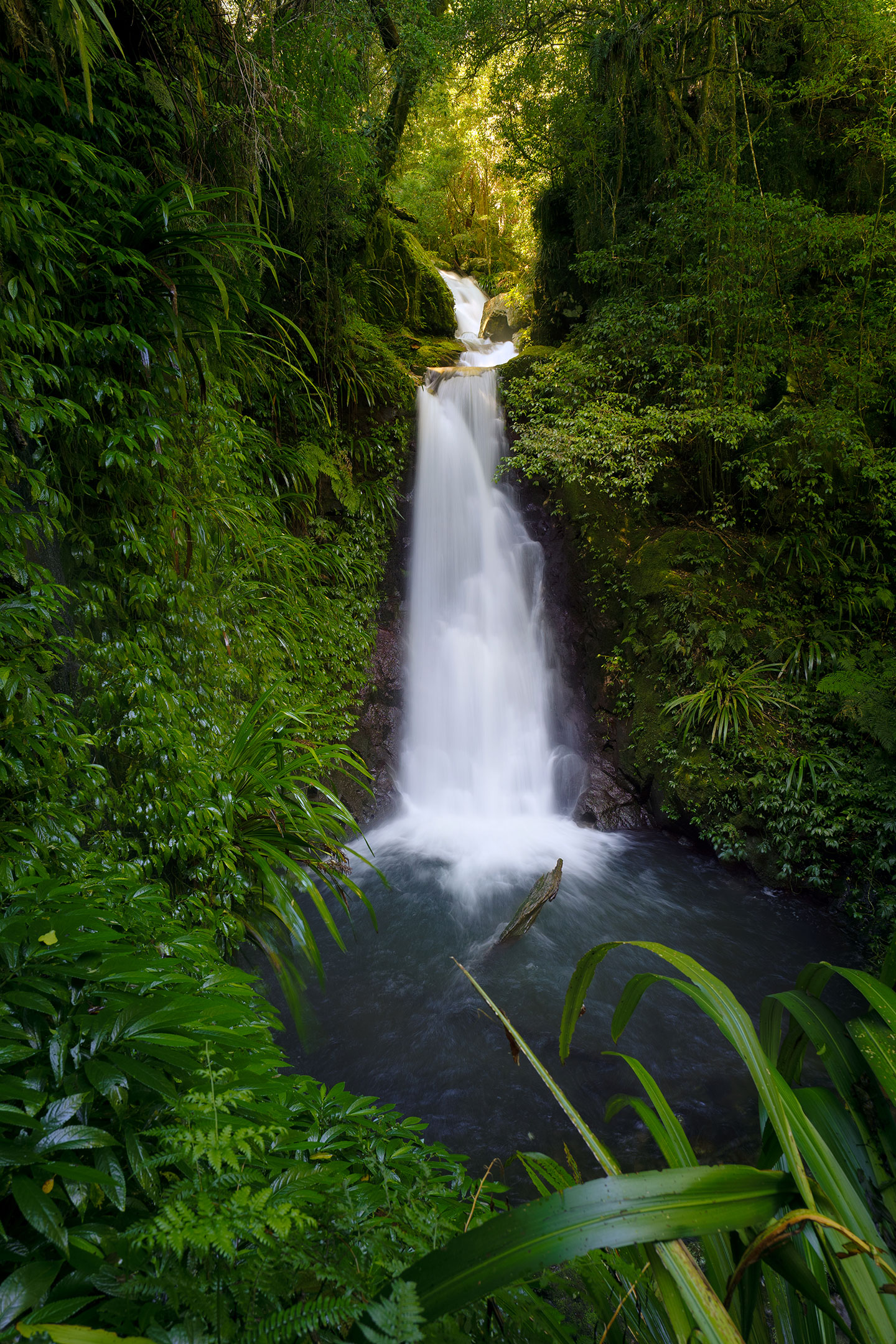 The stunning beauty of Gwongurai waterfall in Lamington National Park, Australia