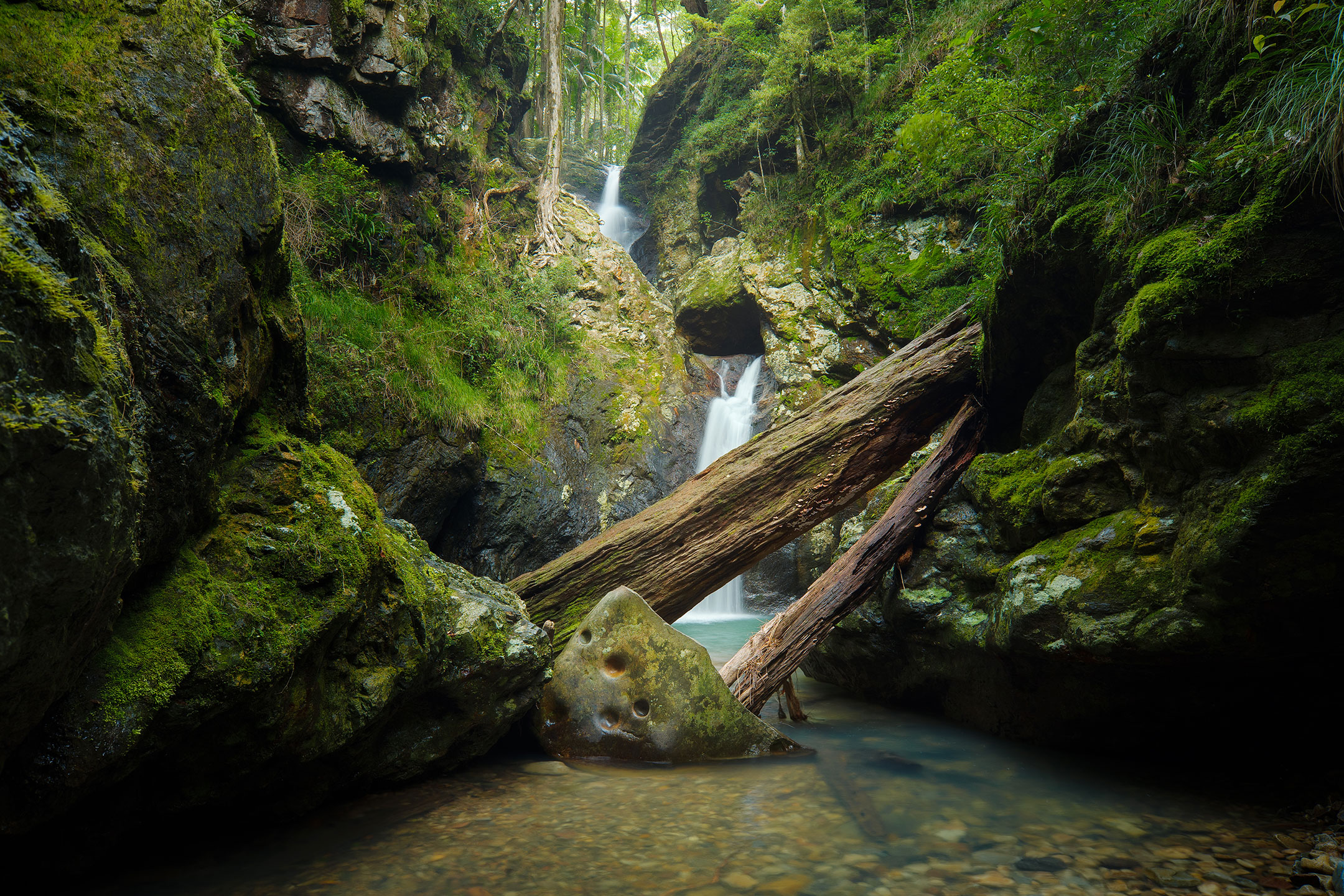 A hidden grotto in the Gold Coast Hinterland, Australia