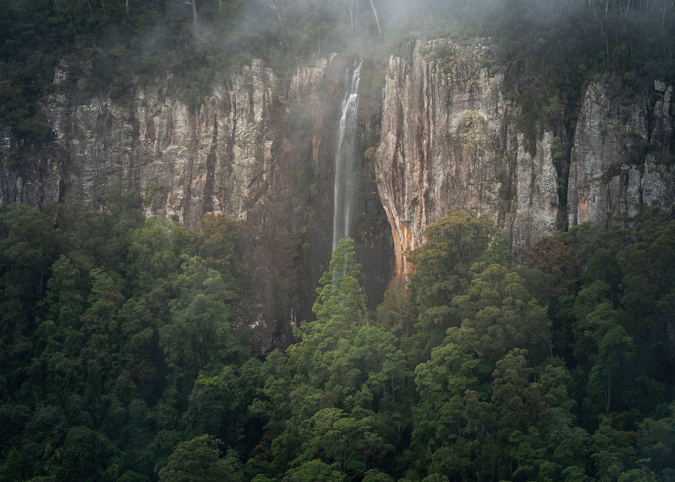 A waterfall tumbles down a mist-shrouded Springbrook escarpment