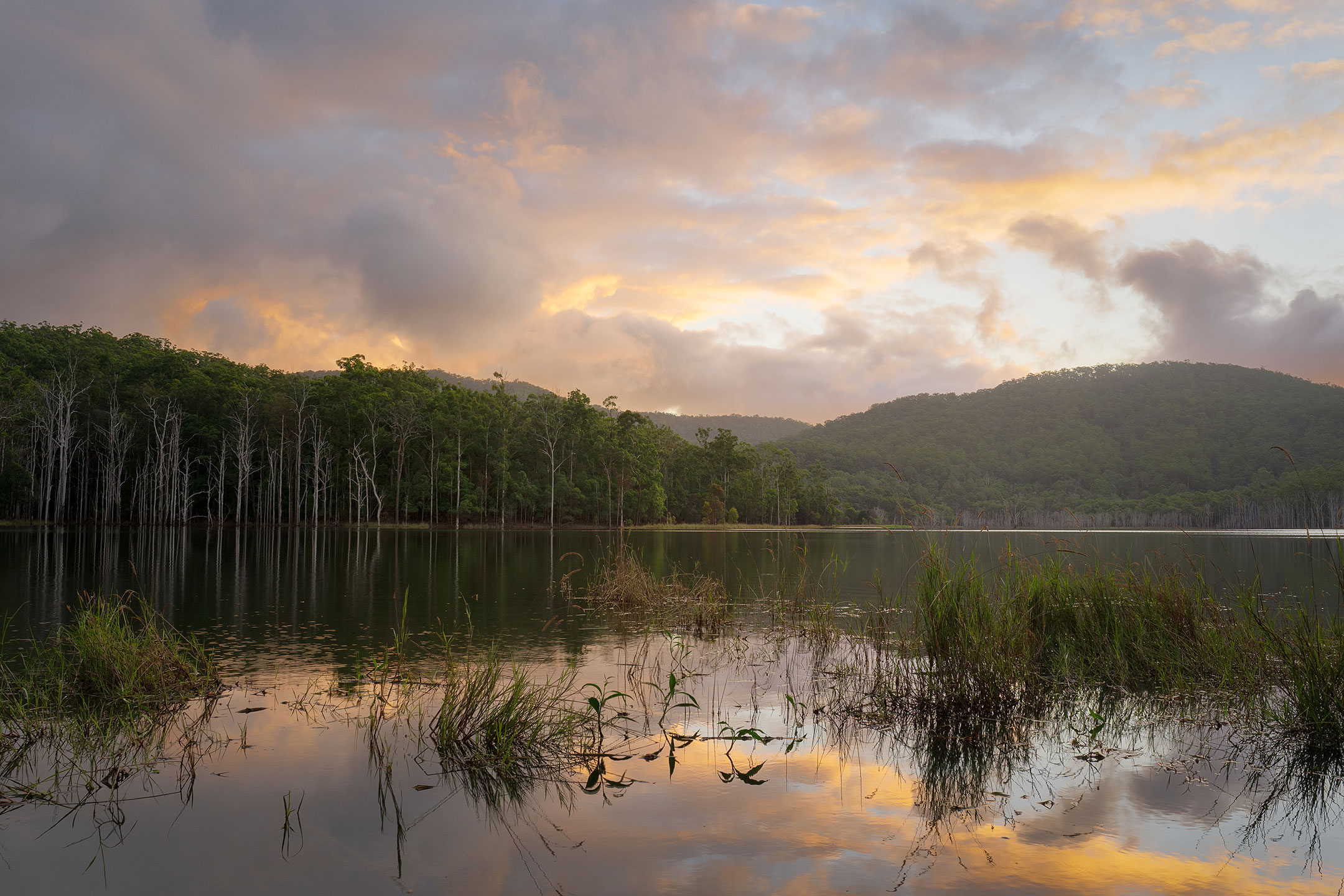 Twilight stretches over a peaceful Hinze Dam on the Gold Coast, Australia