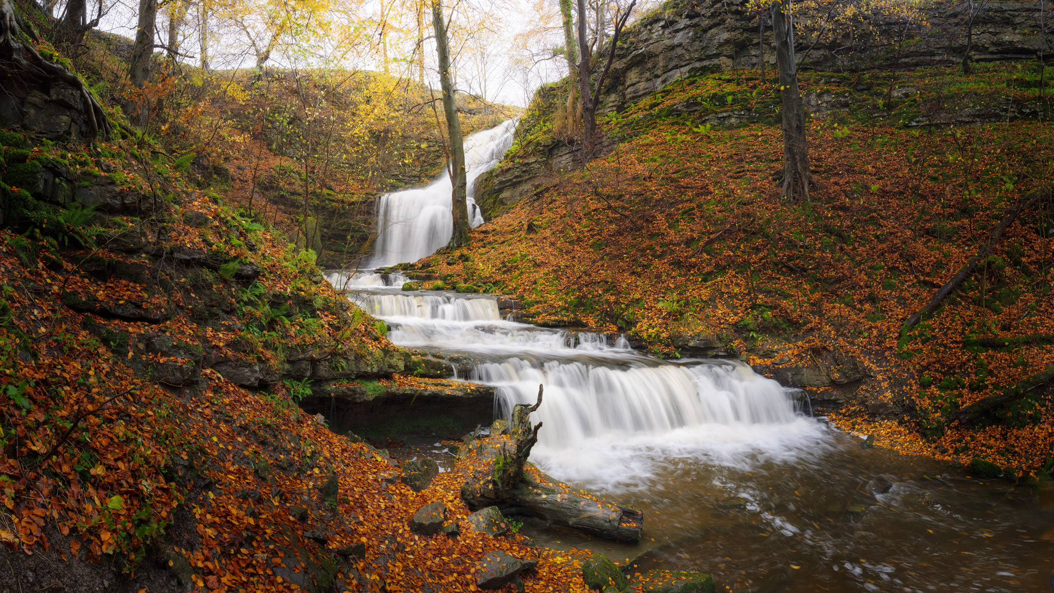 Scaleber Force surrounded by vibrant autumn leaves in the Yorkshire Dales, England